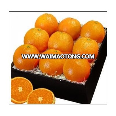 Fresh Oranges