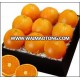 Fresh Oranges