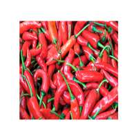 Optimum Quality Bulk Dried Organic Hot Red Chili Pepper for Sale